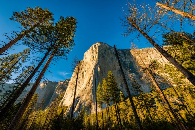 OS X v10.11 - El Capitan